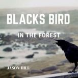 Black Bird in the Forest, Jason Hill