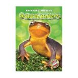 Salamanders, Megan Borgert-Spaniol