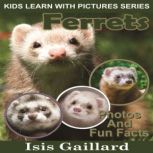 Ferrets Photos and Fun Facts for Kids, Isis Gaillard