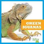 Green Iguanas, Vanessa Black