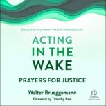 Acting in the Wake Prayers for Justice, Walter Brueggemann