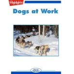 Dogs at Work, Sherry Shahan