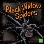 Black Widow Spiders, Molly Kolpin