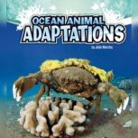 Ocean Animal Adaptations