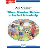 When Disaster Strikes a Perfect Friendship Ask Arizona, Lissa Rovetch