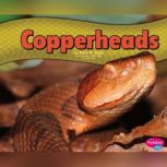 Copperheads, Mary R. Dunn
