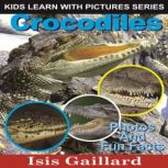 Crocodiles Photos and Fun Facts for Kids, Isis Gaillard