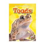 Toads, Kari Schuetz