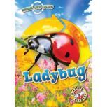 Animal Life Cycles: Ladybug, Elizabeth Neuenfeldt