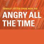 Angry All the Time An Emergency Guide to Anger Control, MSW Potter-Efron