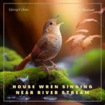 House Wren Singing Near River Stream Atmospheric Audio for Enlightenment, Greg Cetus