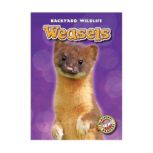 Weasels, Megan Borgert-Spaniol