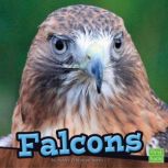 Falcons, Ashley Norris