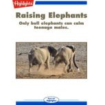 Raising Elephants Only bull elephants can calm teenage males.