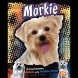 Morkie A Cross Between a Maltese and a Yorkshire Terrier, Heather Schwartz