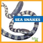 Sea Snakes, Vanessa Black