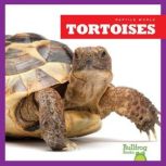 Tortoises, Vanessa Black