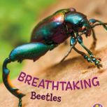 Breathtaking Beetles, Catherine Ipcizade