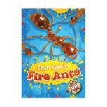 Fire Ants, Kari Schuetz