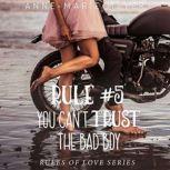 Rule #5: You Can't Trust the Bad Boy A Standalone Sweet High School Romance, Anne-Marie Meyer