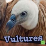 Vultures, Cecilia Pinto McCarthy