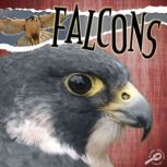 Falcons Rourke Discovery Library, Julie Lundgren