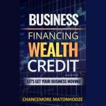 Business Financing, Wealth, Credit Let's get your business moving, Chancemore Matonhodze