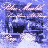 Blue Marble Love Bears All Things