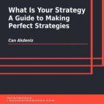 What Is Your Strategy: A Guide to Making Perfect Strategies, Can Akdeniz