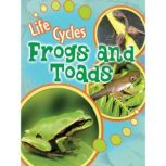 Frogs and Toads, Julie Lundgren