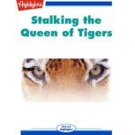 Stalking The Queen of Tigers, Pamela S. Turner