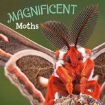 Magnificent Moths, Martha Rustad