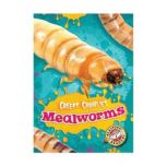 Mealworms, Kari Schuetz