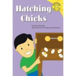 Hatching Chicks, Susan Blackaby