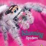 Stunning Spiders, Martha Rustad
