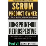 Agile Product Management: Scrum Product Owner: 21 Tips for Working with Your Scrum Master & Sprint Retrospective: 29 Tips for Continuous Improvement, Paul VII