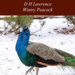 Wintry Peacock, D H Lawrence