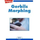 Gerbils Morphing, Dani Sneed