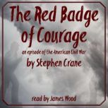 The Red Badge of Courage an episode of the American Civil War