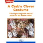 A Crab's Clever Costume The right disguise means survival for some crabs., Sudipta Bardhan