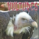 Vultures Rourke Discovery Library, Julie Lundgren