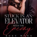 Stuck in an Elevator With the Enemy An Enemies to Lovers Romance, Roxy Wynn