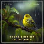 Birds Singing In The Rain Ambient Audio for Holistic Living, Greg Cetus