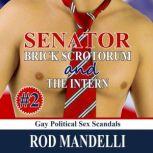 Senator Brick Scrotorum and the Intern, Rod Mandelli