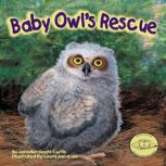 Baby Owl's Rescue, Jennifer Keats Curtis