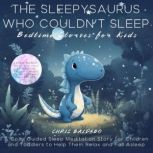 The Sleepysaurus Who Couldn´t Sleep: Bedtime Stories for Kids A Cozy Guided Sleep Meditation Story for Children and Toddlers to Help Them Relax and Fall Asleep, Chris Baldebo