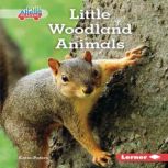 Little Woodland Animals, Katie Peters