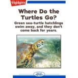 Where Do the Turtles Go?, Jesse Boyett Anderson