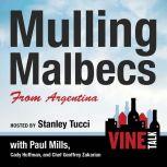 Mulling Malbecs from Argentina Vine Talk Episode 105