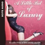A Little Bit of Luxury A collection of five erotic stories, Cathryn Cooper